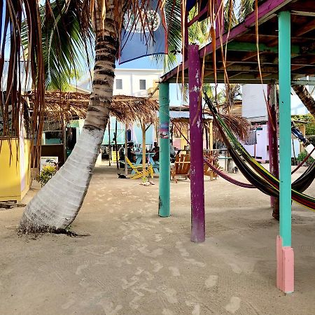 Hostel Tropical Oasis Caye Corker Exterior foto