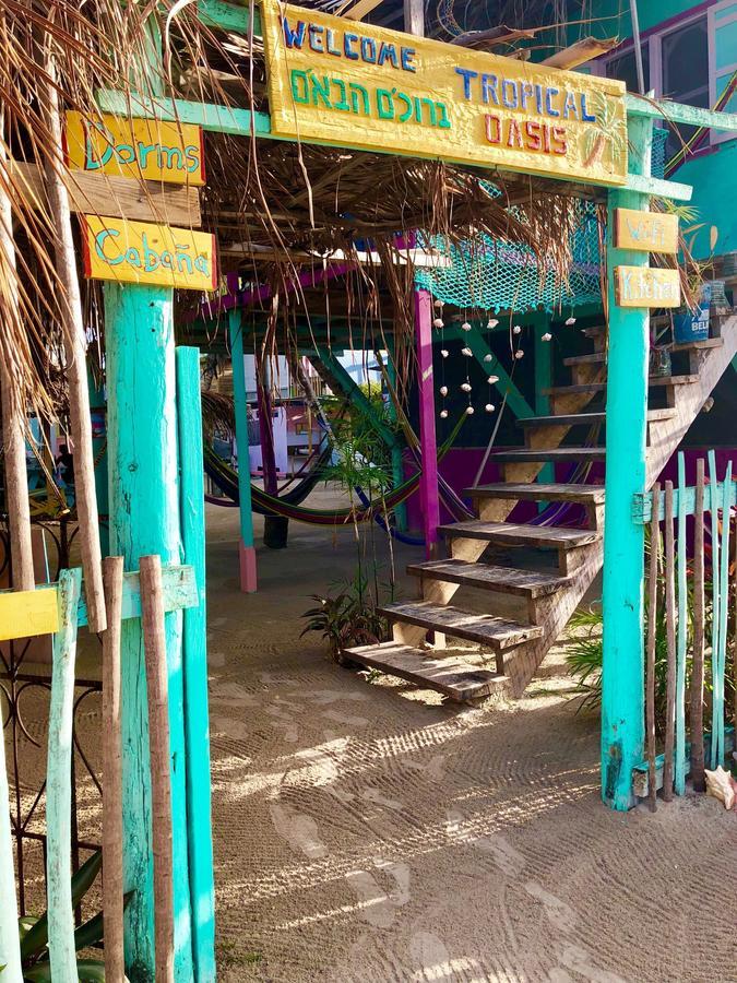 Hostel Tropical Oasis Caye Corker Exterior foto