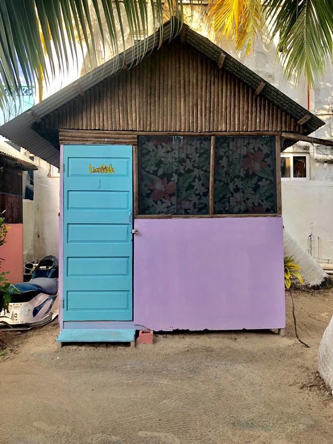 Hostel Tropical Oasis Caye Corker Exterior foto