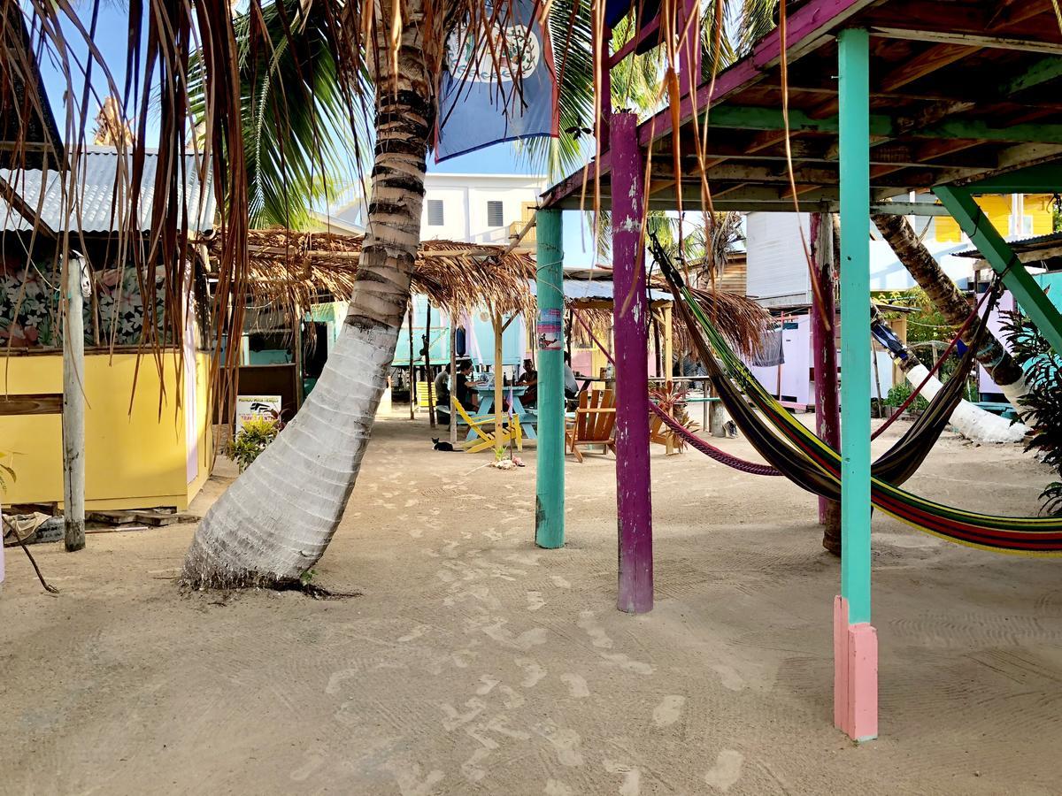 Hostel Tropical Oasis Caye Corker Exterior foto