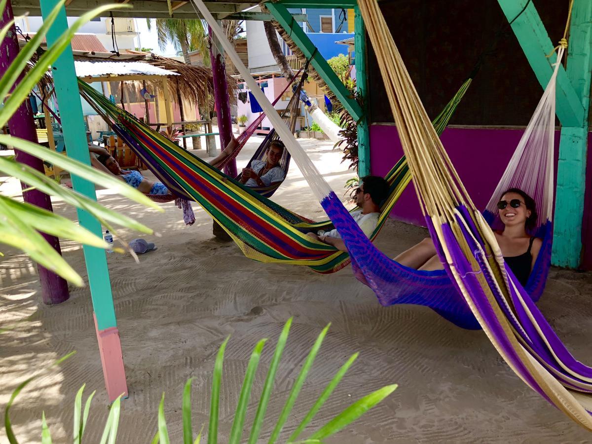 Hostel Tropical Oasis Caye Corker Exterior foto