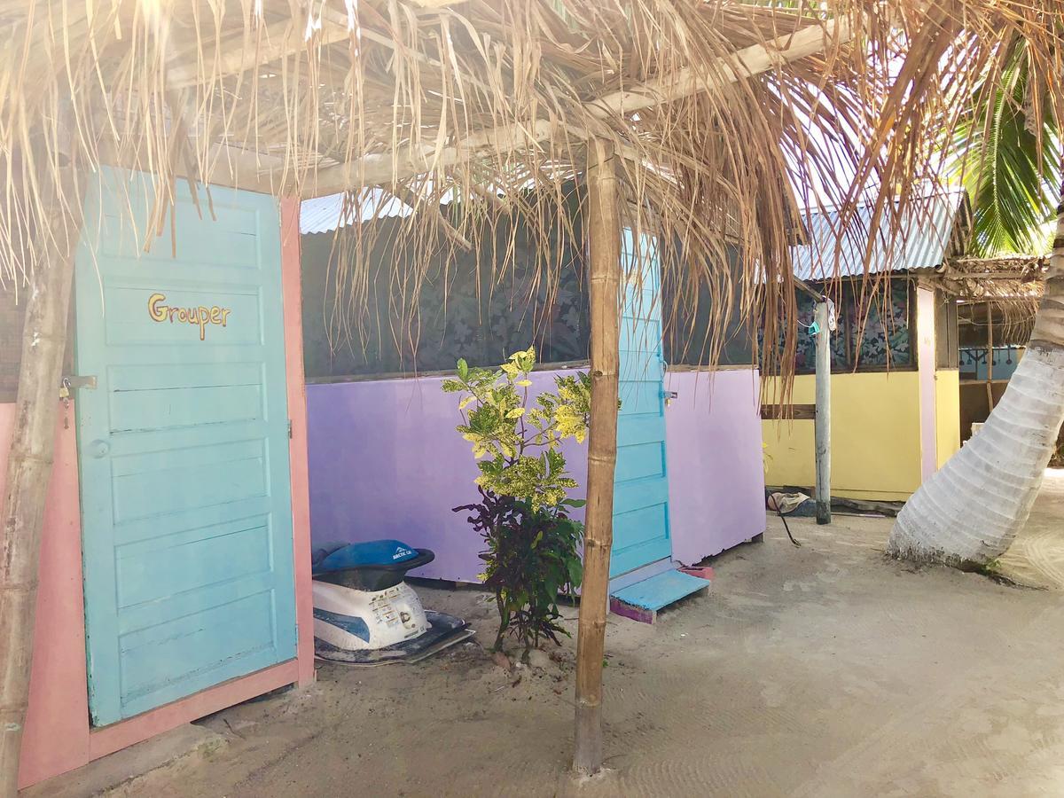 Hostel Tropical Oasis Caye Corker Exterior foto