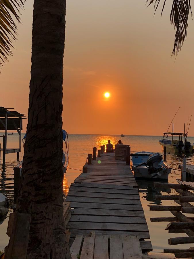 Hostel Tropical Oasis Caye Corker Exterior foto