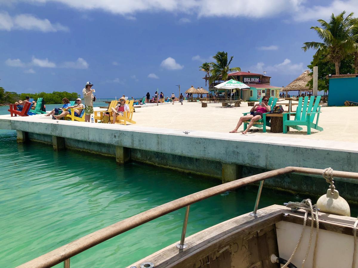 Hostel Tropical Oasis Caye Corker Exterior foto