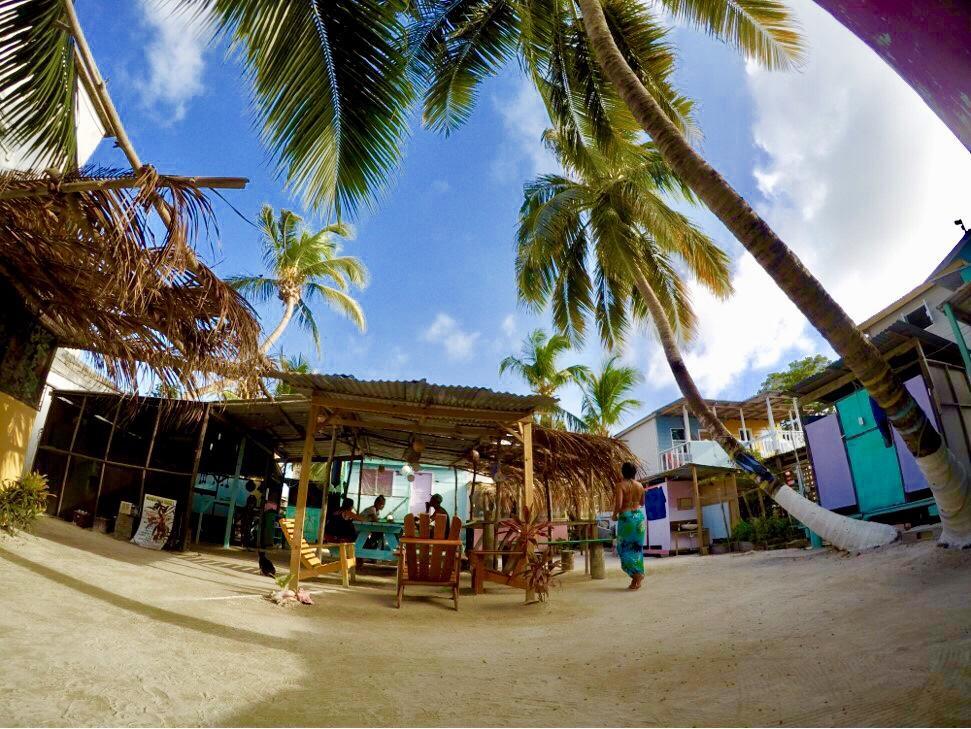 Hostel Tropical Oasis Caye Corker Exterior foto